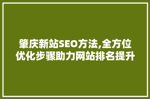 肇庆新站SEO方法,全方位优化步骤助力网站排名提升