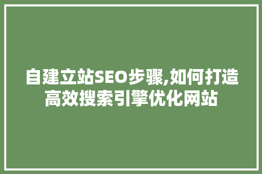 自建立站SEO步骤,如何打造高效搜索引擎优化网站