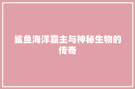 鲨鱼海洋霸主与神秘生物的传奇