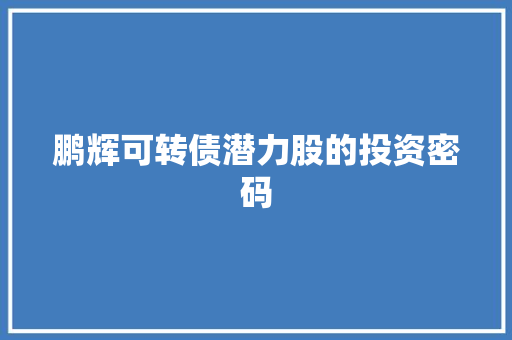 鹏辉可转债潜力股的投资密码