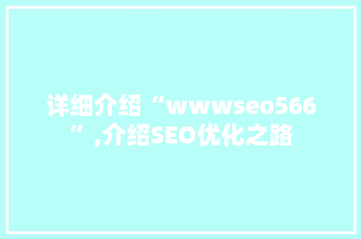 详细介绍“wwwseo566”,介绍SEO优化之路