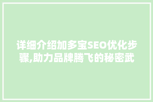详细介绍加多宝SEO优化步骤,助力品牌腾飞的秘密武器