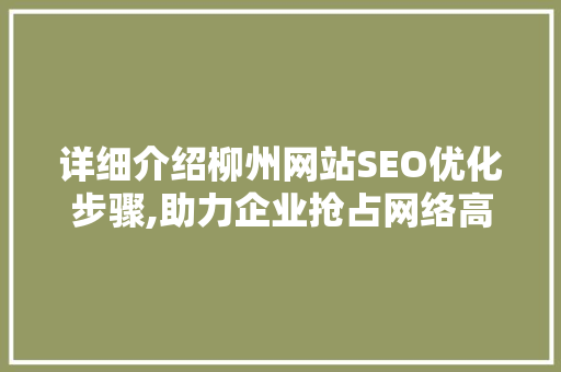 详细介绍柳州网站SEO优化步骤,助力企业抢占网络高地
