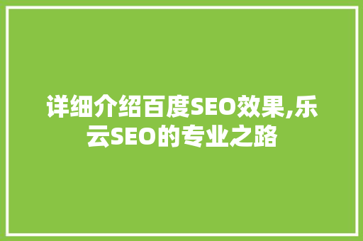 详细介绍百度SEO效果,乐云SEO的专业之路