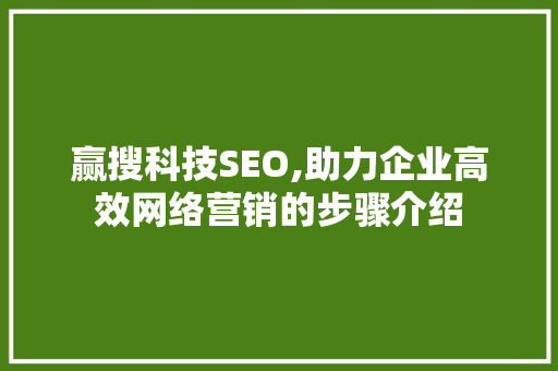 赢搜科技SEO,助力企业高效网络营销的步骤介绍