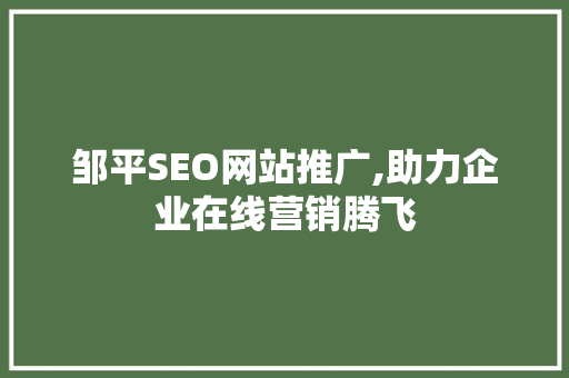 邹平SEO网站推广,助力企业在线营销腾飞