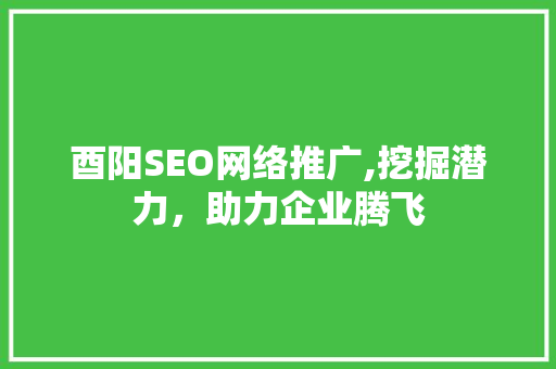 酉阳SEO网络推广,挖掘潜力，助力企业腾飞
