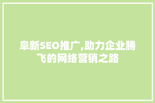阜新SEO推广,助力企业腾飞的网络营销之路