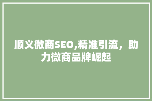 顺义微商SEO,精准引流，助力微商品牌崛起