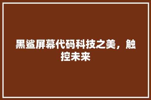 黑鲨屏幕代码科技之美，触控未来