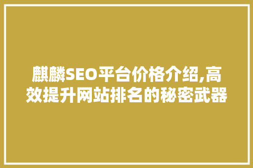 麒麟SEO平台价格介绍,高效提升网站排名的秘密武器
