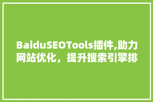 BaiduSEOTools插件,助力网站优化，提升搜索引擎排名的秘密武器