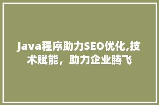 Java程序助力SEO优化,技术赋能，助力企业腾飞