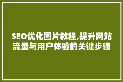 SEO优化图片教程,提升网站流量与用户体验的关键步骤