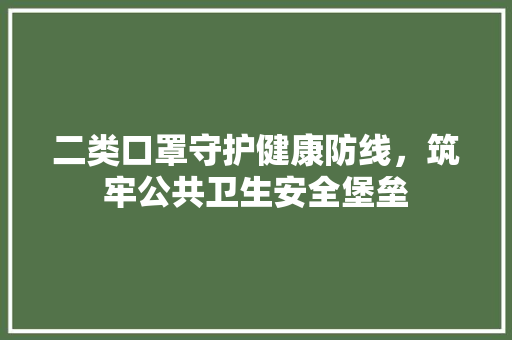 二类口罩守护健康防线，筑牢公共卫生安全堡垒
