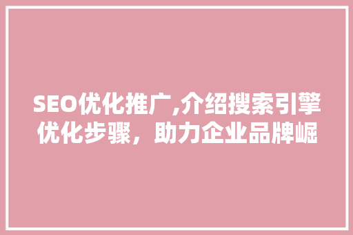 SEO优化推广,介绍搜索引擎优化步骤，助力企业品牌崛起
