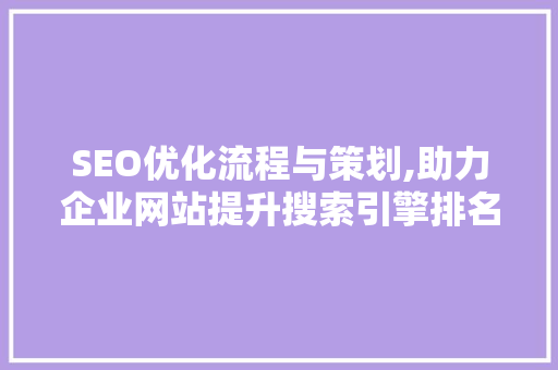 SEO优化流程与策划,助力企业网站提升搜索引擎排名