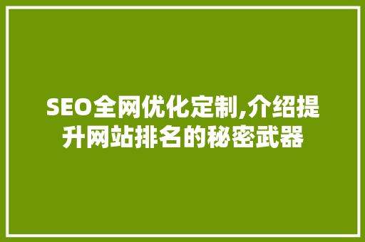 SEO全网优化定制,介绍提升网站排名的秘密武器