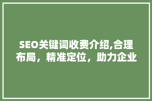 SEO关键词收费介绍,合理布局，精准定位，助力企业高效营销