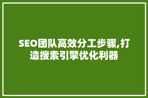 SEO团队高效分工步骤,打造搜索引擎优化利器