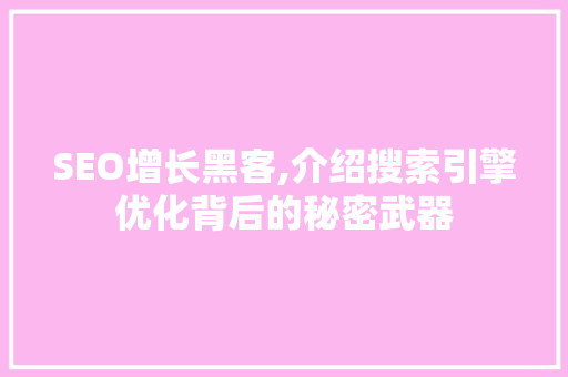 SEO增长黑客,介绍搜索引擎优化背后的秘密武器