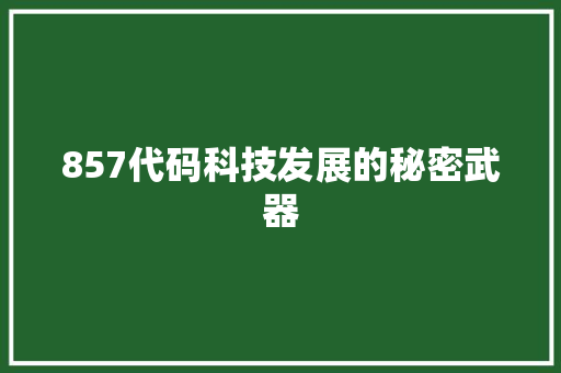 857代码科技发展的秘密武器