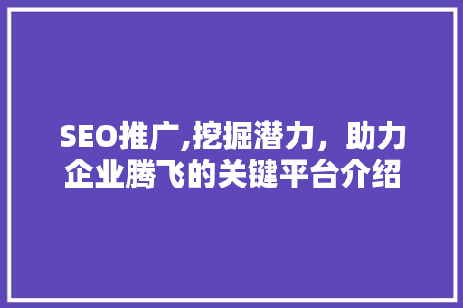 SEO推广,挖掘潜力，助力企业腾飞的关键平台介绍