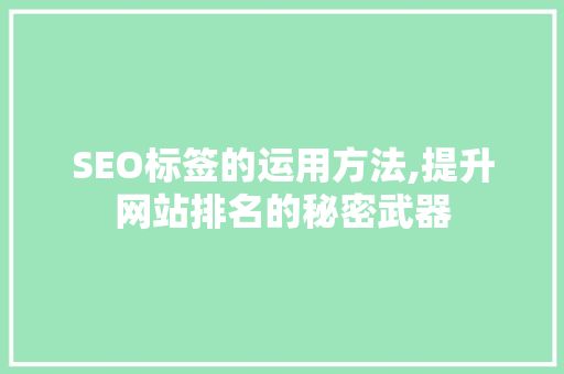 SEO标签的运用方法,提升网站排名的秘密武器