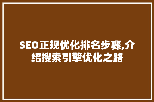 SEO正规优化排名步骤,介绍搜索引擎优化之路