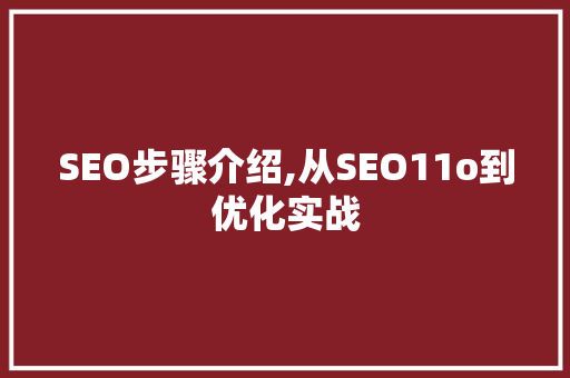 SEO步骤介绍,从SEO11o到优化实战