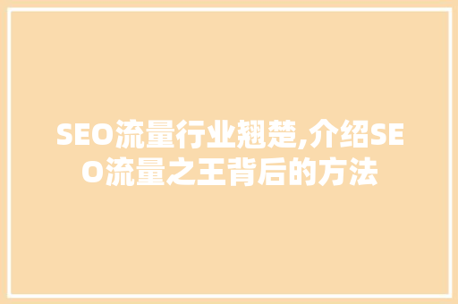SEO流量行业翘楚,介绍SEO流量之王背后的方法