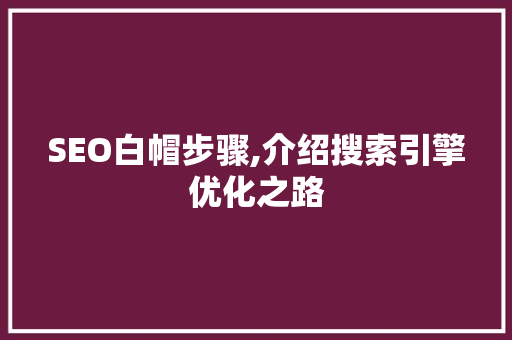 SEO白帽步骤,介绍搜索引擎优化之路
