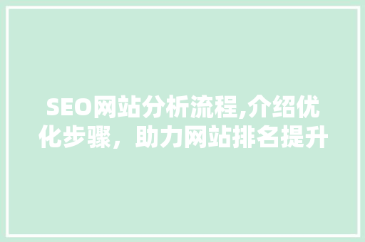 SEO网站分析流程,介绍优化步骤，助力网站排名提升