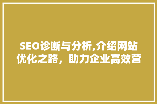 SEO诊断与分析,介绍网站优化之路，助力企业高效营销
