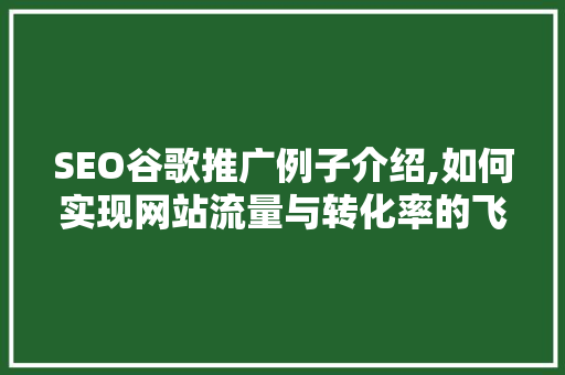 SEO谷歌推广例子介绍,如何实现网站流量与转化率的飞跃
