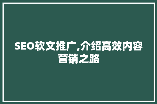 SEO软文推广,介绍高效内容营销之路