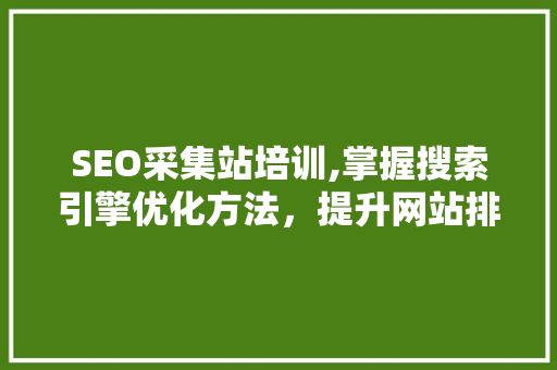 SEO采集站培训,掌握搜索引擎优化方法，提升网站排名