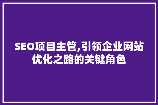 SEO项目主管,引领企业网站优化之路的关键角色