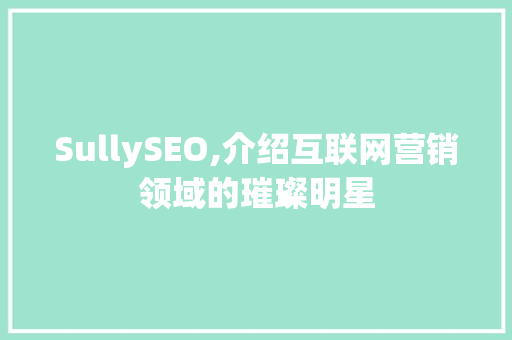 SullySEO,介绍互联网营销领域的璀璨明星