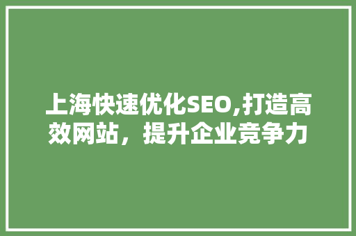 上海快速优化SEO,打造高效网站，提升企业竞争力