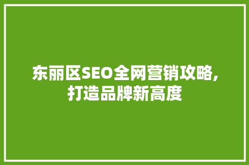 东丽区SEO全网营销攻略,打造品牌新高度