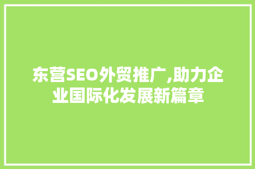 东营SEO外贸推广,助力企业国际化发展新篇章