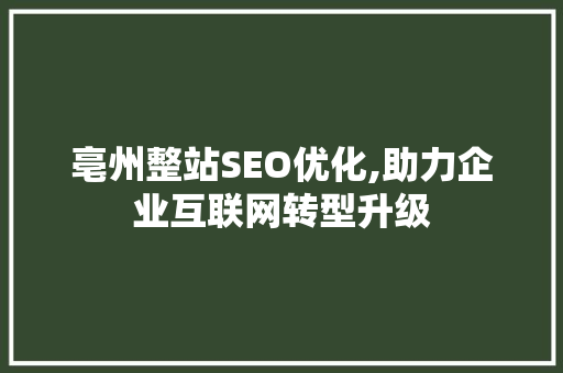 亳州整站SEO优化,助力企业互联网转型升级