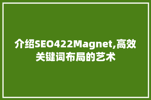介绍SEO422Magnet,高效关键词布局的艺术