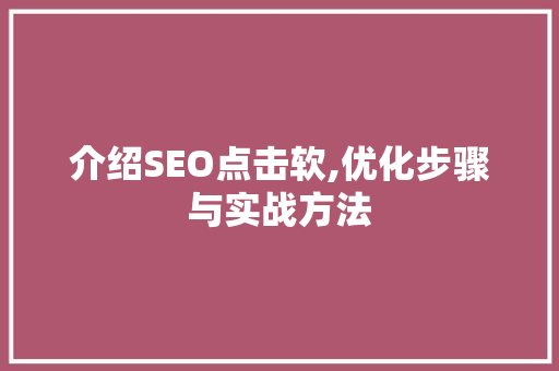 介绍SEO点击软,优化步骤与实战方法