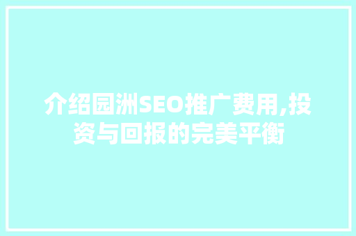 介绍园洲SEO推广费用,投资与回报的完美平衡