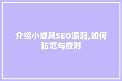 介绍小旋风SEO漏洞,如何防范与应对
