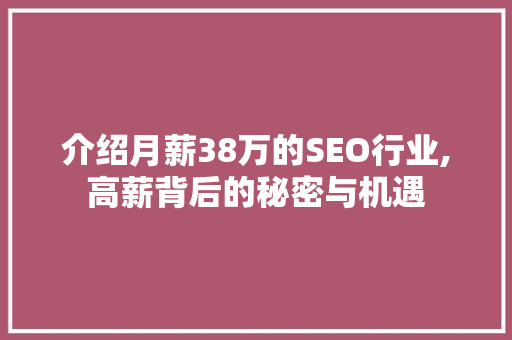介绍月薪38万的SEO行业,高薪背后的秘密与机遇