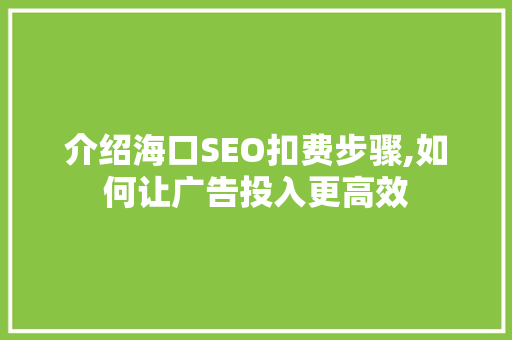 介绍海口SEO扣费步骤,如何让广告投入更高效