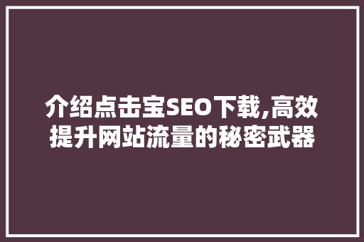 介绍点击宝SEO下载,高效提升网站流量的秘密武器